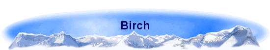 Birch