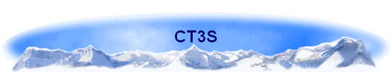 CT3S