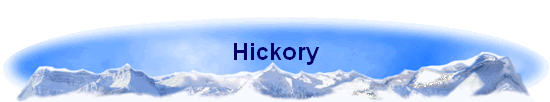 Hickory