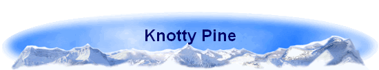 Knotty Pine